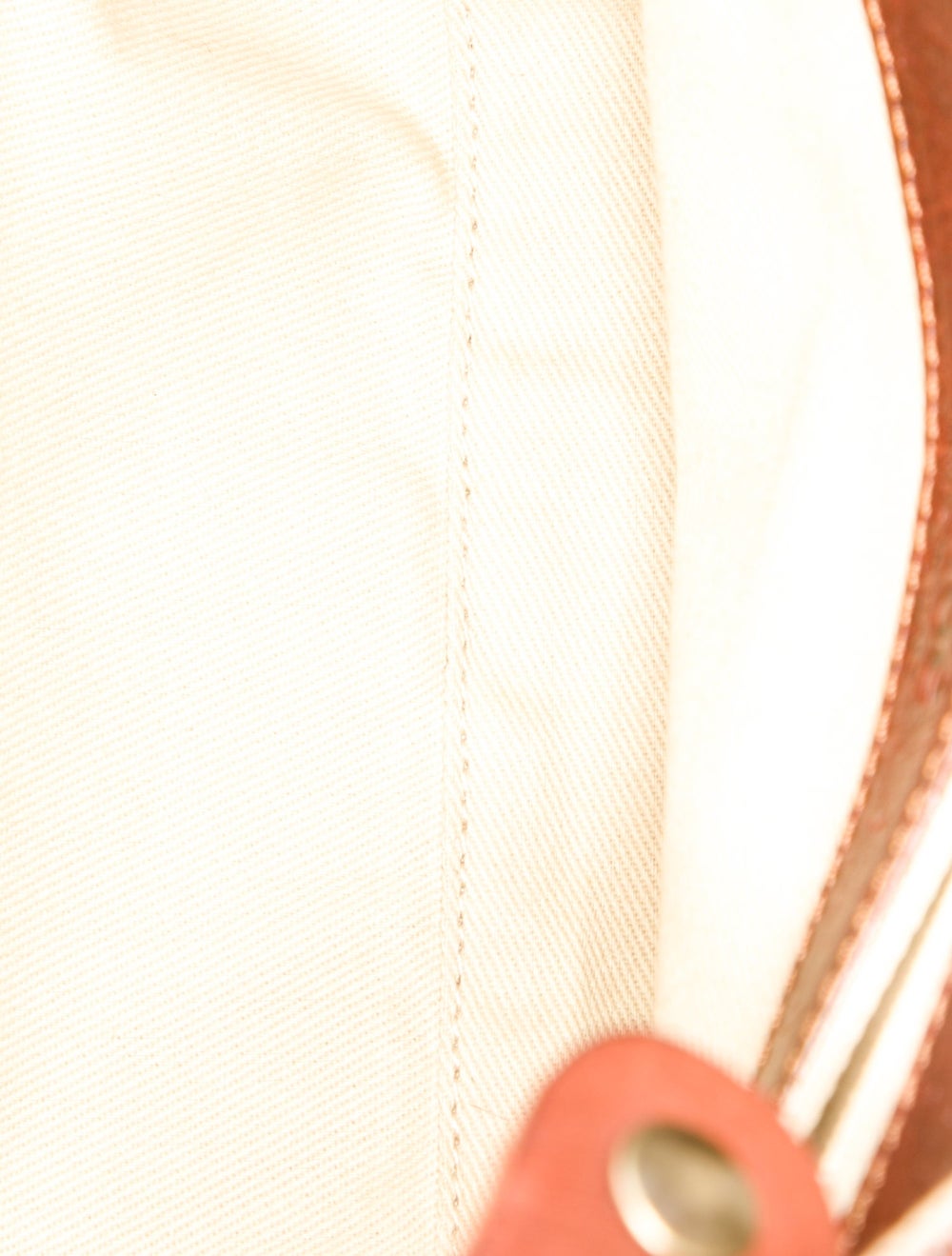 Chloé Python Silverado - image 6