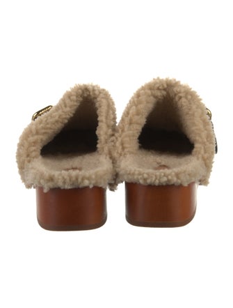 Chloé Suede Mules