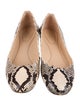 Chloé Embossed Leather Animal Print Ballet Flats