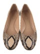 Chloé Leather Animal Print Ballet Flats