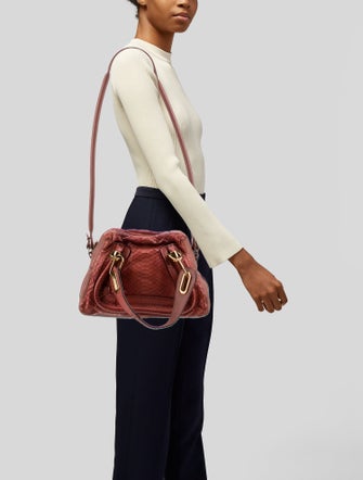 Chloé Snakeskin Top Handle Bag