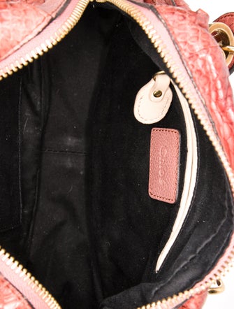 Chloé Snakeskin Top Handle Bag