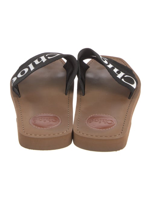 Chloé Printed Slides