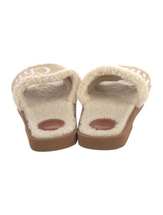 Chloé Canvas Animal Print Slides
