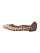 Chloé Ponyhair Animal Print Ballet Flats