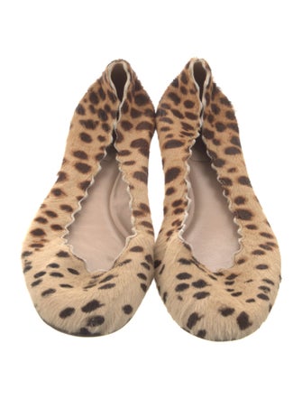 Chloé Ponyhair Animal Print Ballet Flats