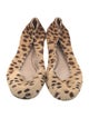 Chloé Ponyhair Animal Print Ballet Flats