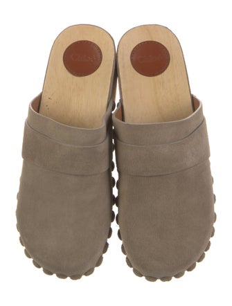 Chloé Suede Studded Accents Mules