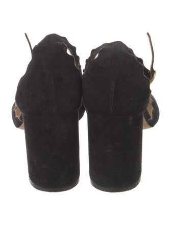 Chloé Suede Scalloped Accent D'Orsay Pumps