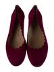 Chloé Suede Scalloped Accent Ballet Flats