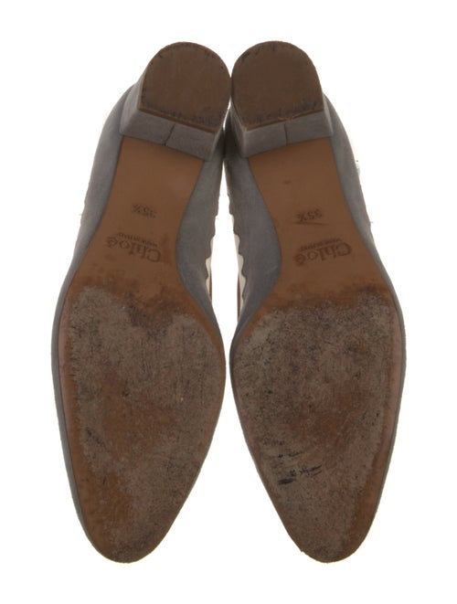 Chloé Suede Mesh Accents Pumps