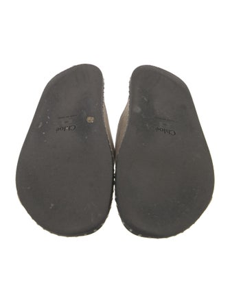 Chloé Suede Slides