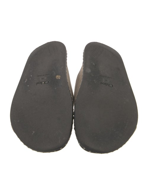 Chloé Suede Slides