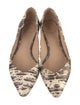 Chloé Lizard Printed Flats