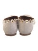 Chloé Suede Lasercut Accents Ballet Flats