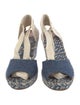 Chloé Denim Patterned Espadrilles
