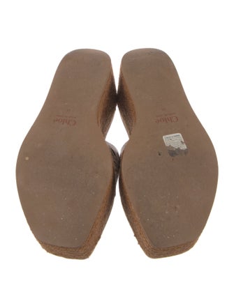 Chloé Canvas Eyelet Trim Espadrilles