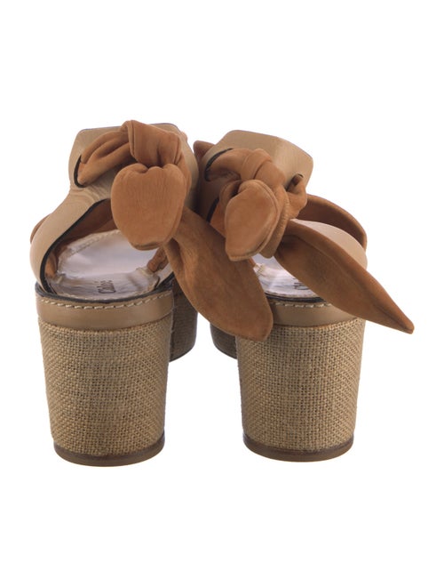 Chloé Suede Espadrilles