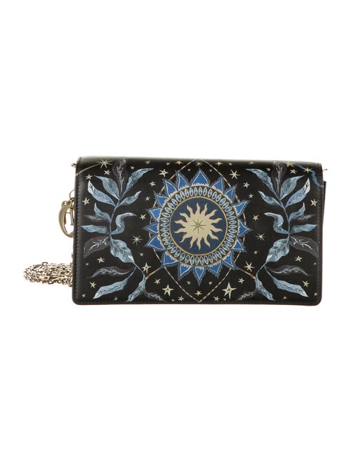 Christian Dior 2019 Nature Ballet Lady Dior Pouch