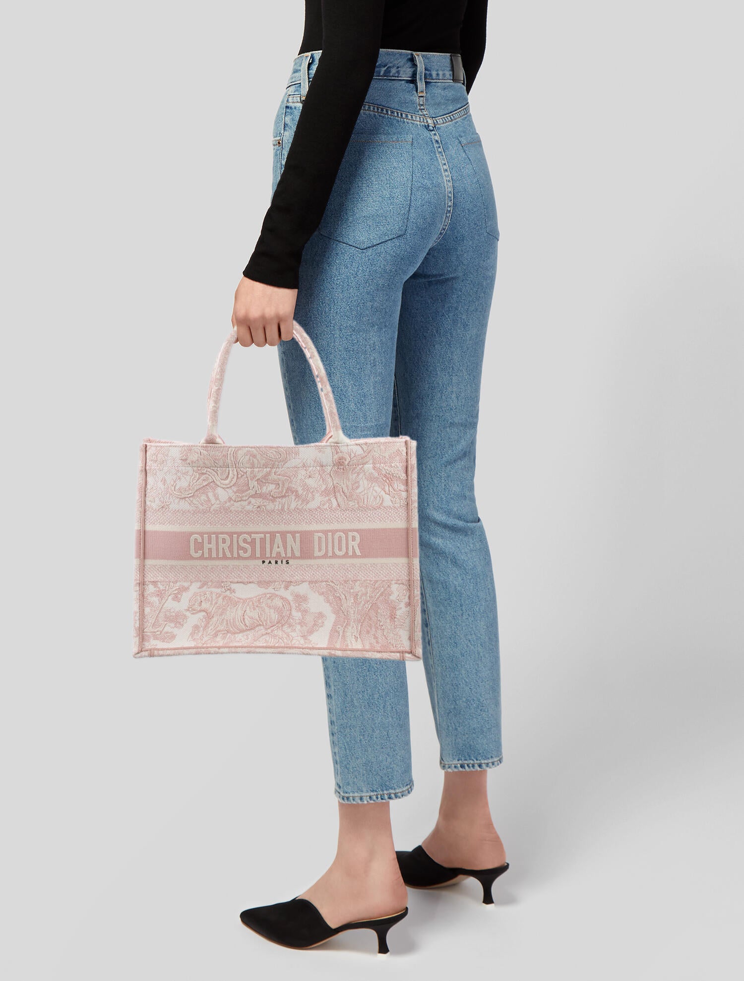 Christian Dior 2020 Small Toile du Jouy Book Tote