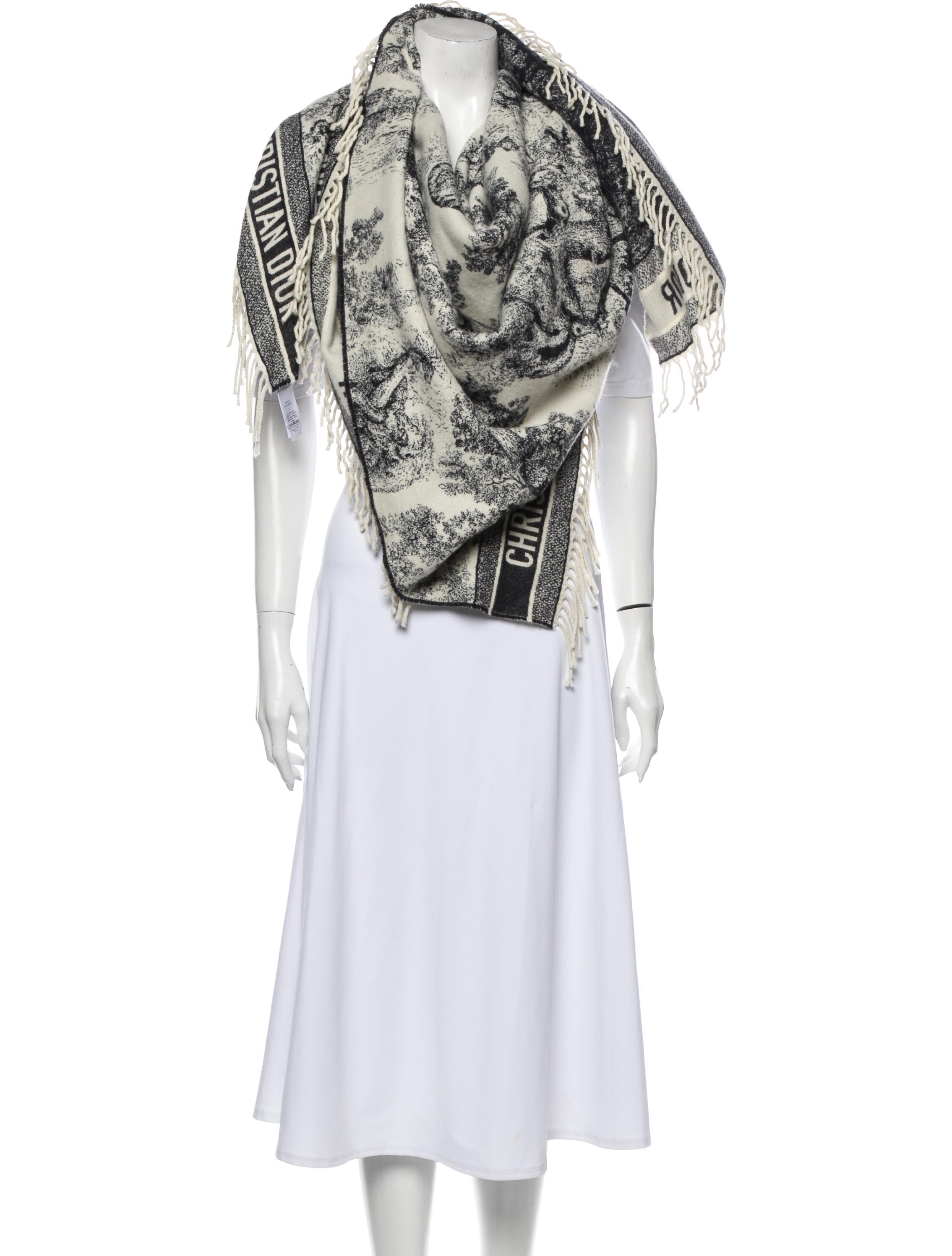 Christian Dior Toile De Jouy Cashmere Scarf - Blue Scarves and