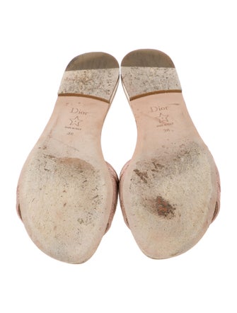 Christian Dior Dway Slides