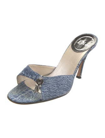 Christian Dior Printed Slides