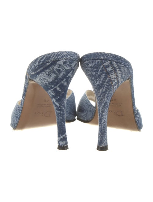 Christian Dior Printed Slides