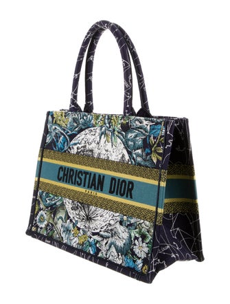 Christian Dior 2021 Medium Constellation Book Tote