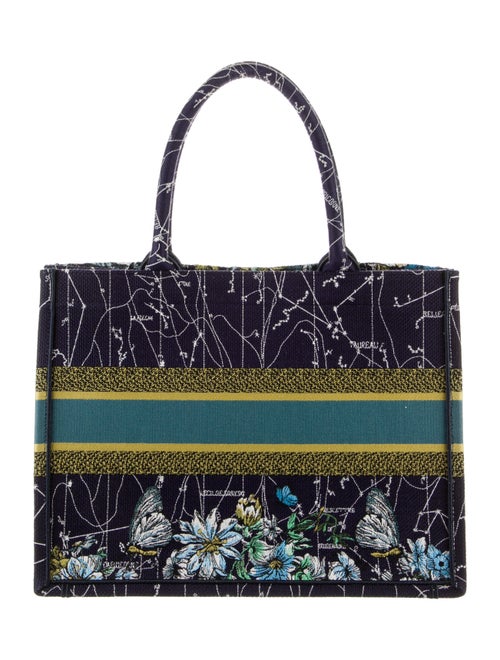 Christian Dior 2021 Medium Constellation Book Tote