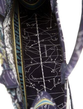 Christian Dior 2021 Medium Constellation Book Tote