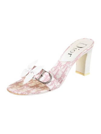 Christian Dior Oblique Jacquard Canvas Slides