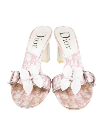 Christian Dior Oblique Jacquard Canvas Slides
