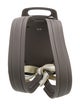 DIOR MEN Mini Gallop Backpack