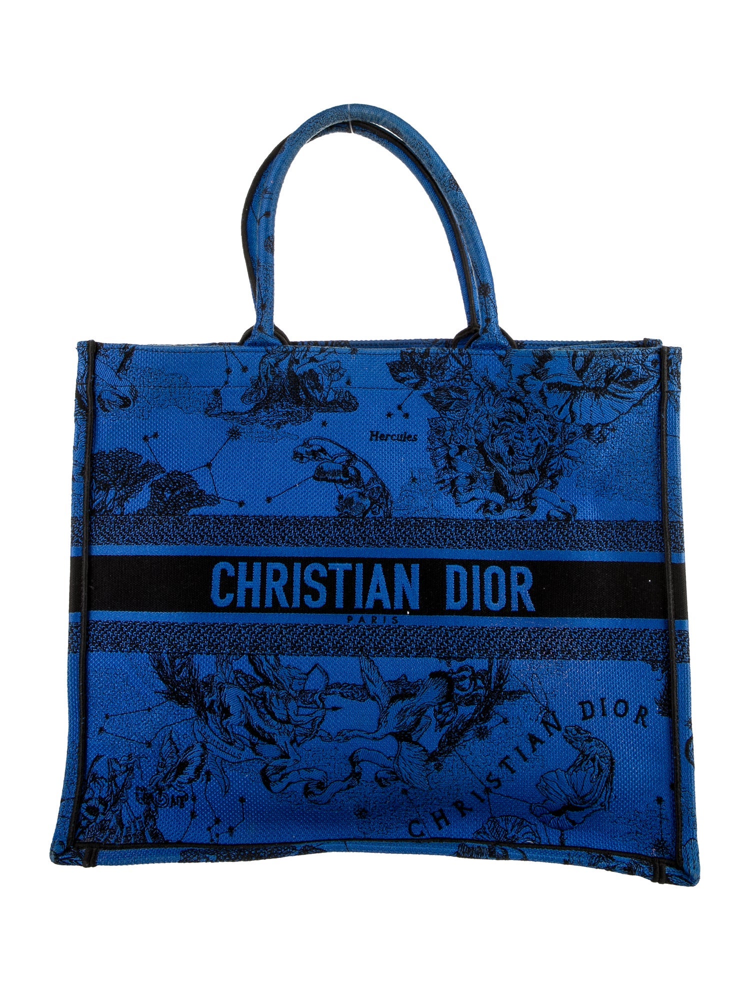 Christian Dior 2022 Large Toile de Zodiac Book Tote Blue Totes