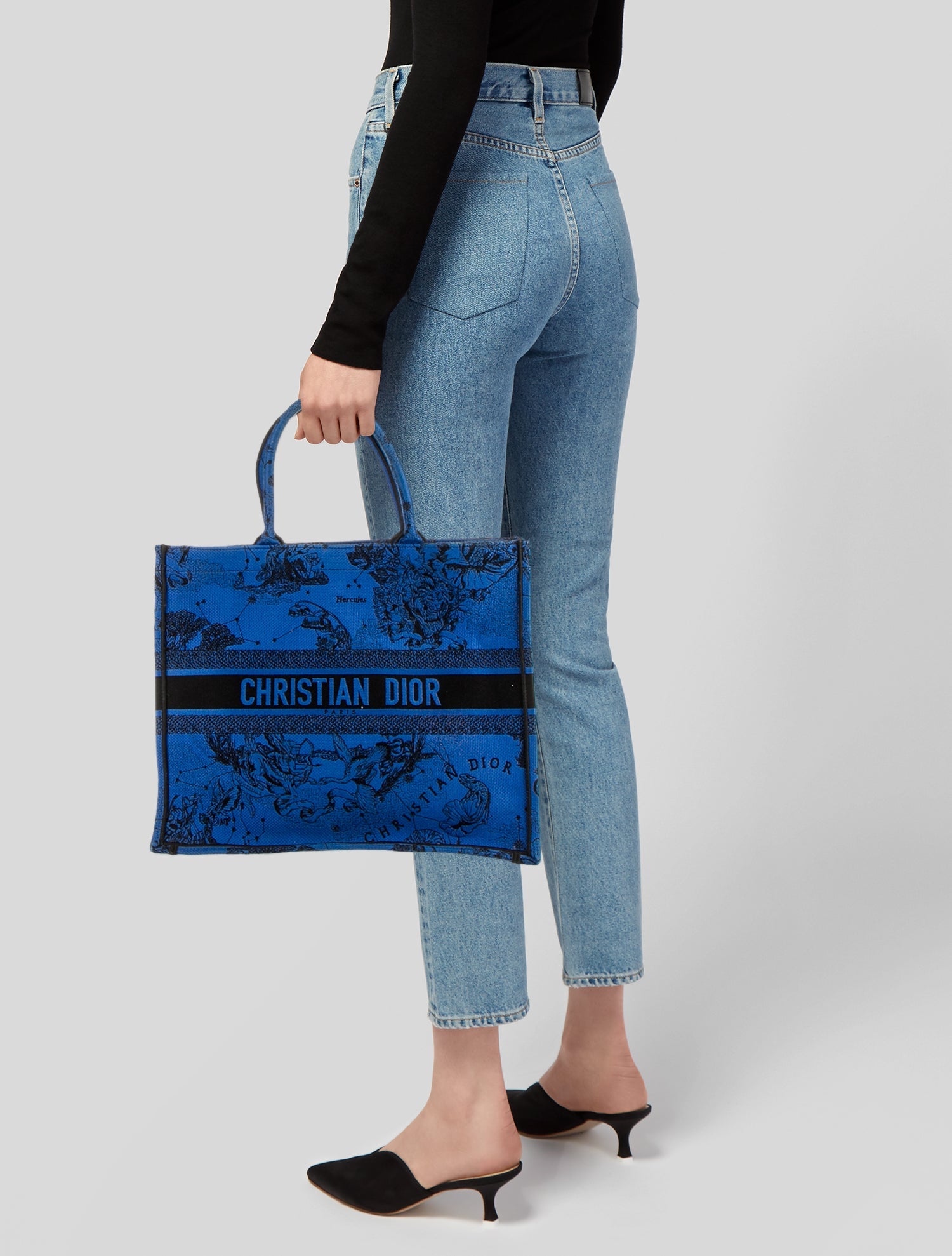 Christian Dior 2022 Large Toile de Zodiac Book Tote Blue Totes