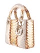 Christian Dior Mini Python Lady Dior