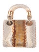 Christian Dior Mini Python Lady Dior