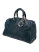 Christian Dior Medium Cannage Granville Bag
