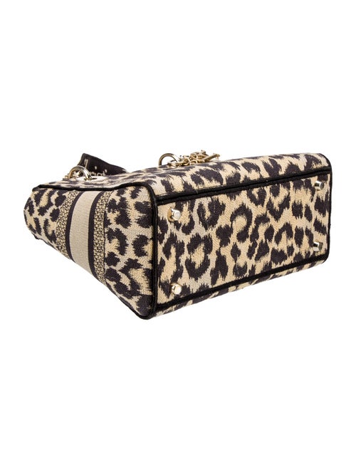 Christian Dior Medium Mizza Lady D-Lite