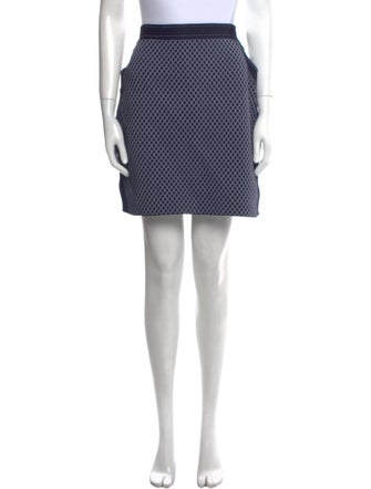 Christian Dior 2016 Mini Skirt