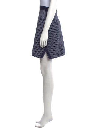 Christian Dior 2016 Mini Skirt