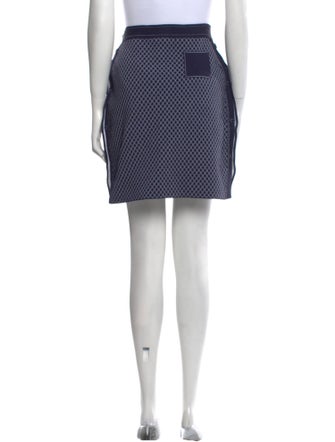 Christian Dior 2016 Mini Skirt