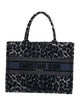 Christian Dior 2022 Medium Leopard Book Tote
