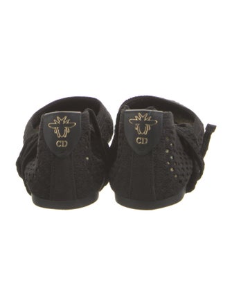 Christian Dior Ballet Flats