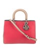Christian Dior Leather Diorissimo Medium