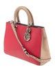 Christian Dior Leather Diorissimo Medium
