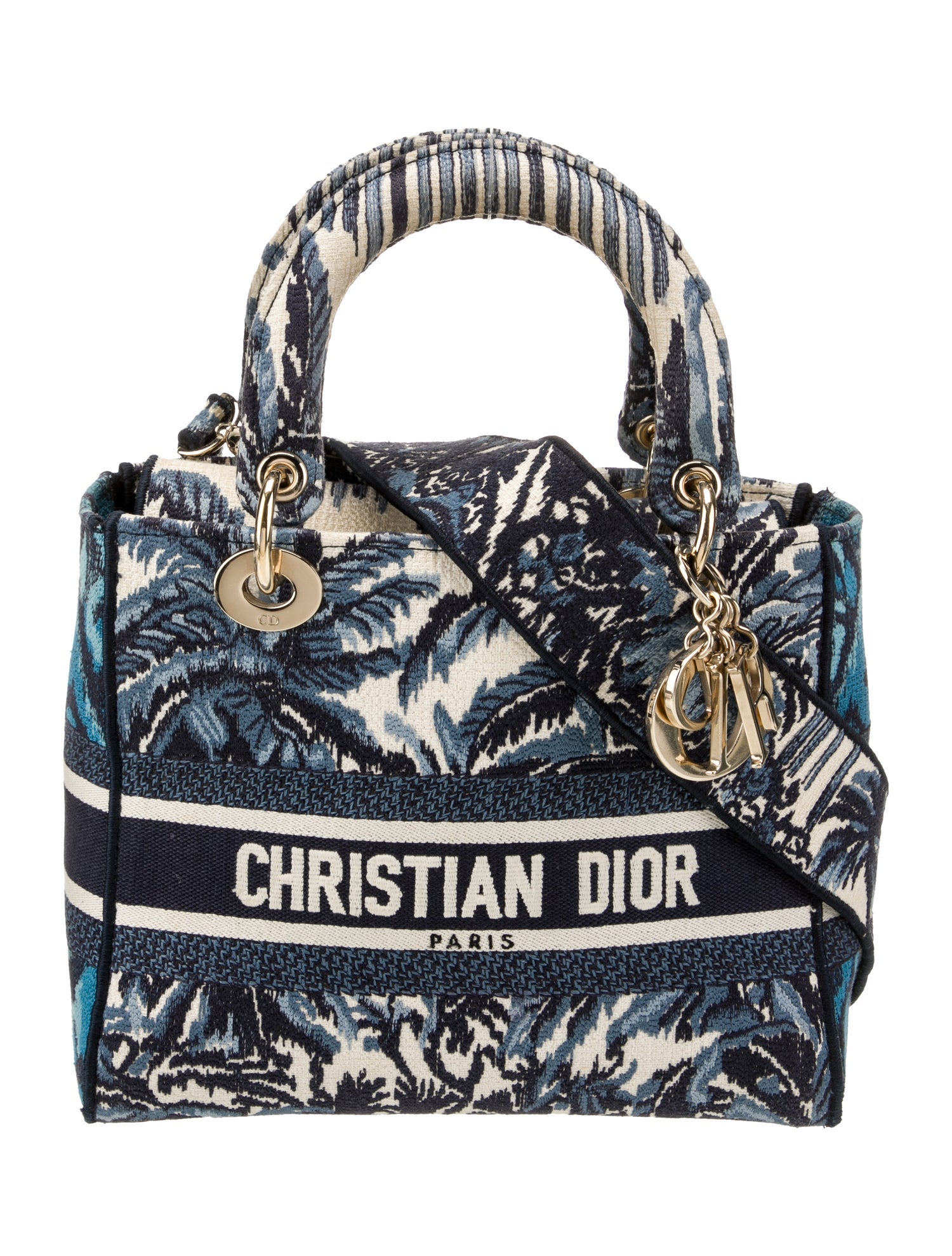 Christian Dior Canvas D-Lite Medium 2021