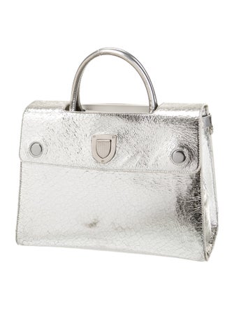 Christian Dior Leather Diorever Medium