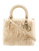 Christian Dior Mink Lady Dior Medium